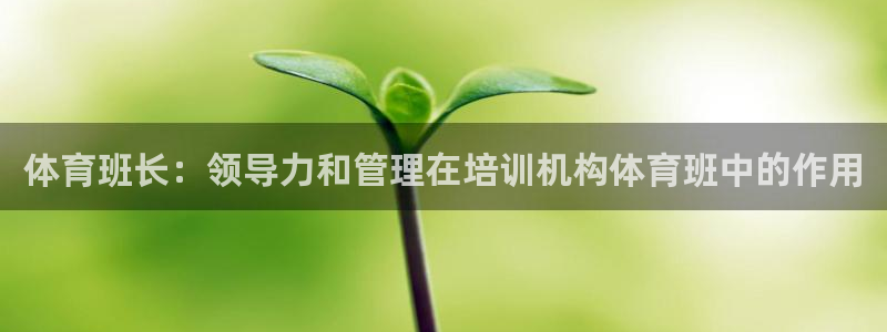 欧陆娱乐微信众：体育班长：领导力和管理在培训机构体育