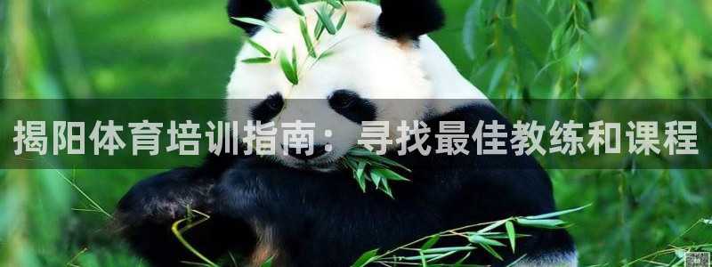 欧陆娱乐公司产品介绍