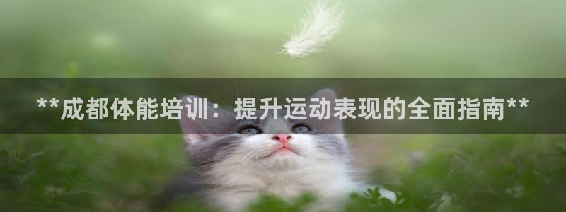 欧陆娱乐登录平台有哪些：**成都体能培训：提升运动表