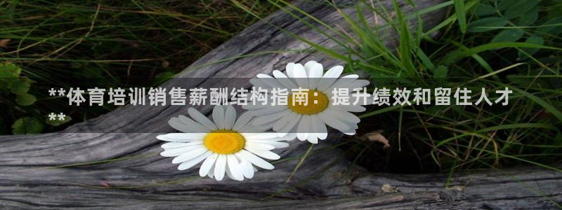 欧陆娱乐注册代理多少钱啊：**体育培训销售薪酬结构指
