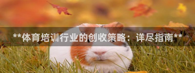 欧陆娱乐官网网址是什么：**体育培训行业的创收策略：