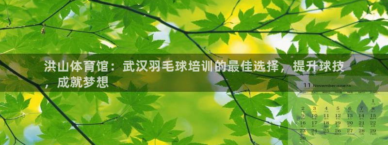 重庆欧陆娱乐有限公司怎么样