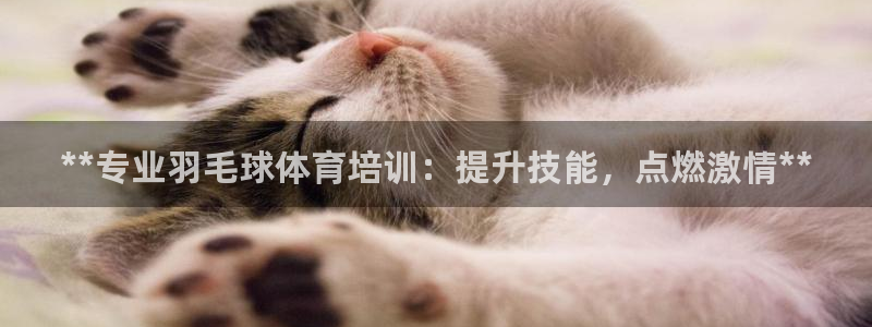 欧陆娱乐总代理：**专业羽毛球体育培训：提升技能，点