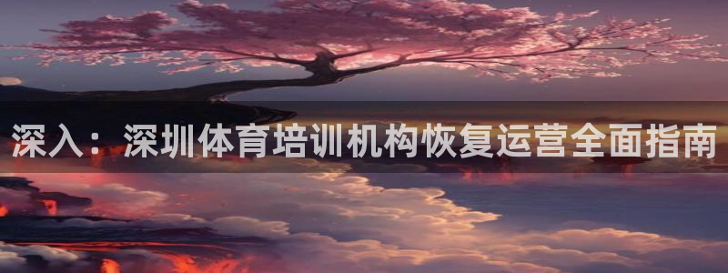 欧陆娱乐平台登录不上怎么回事：深入：深圳体育培训机构