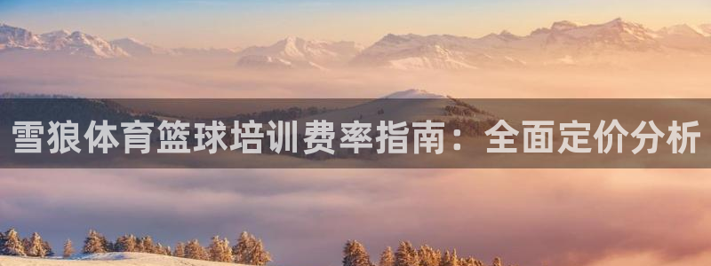 欧陆娱乐招商主管：雪狼体育篮球培训费率指南：全面定价