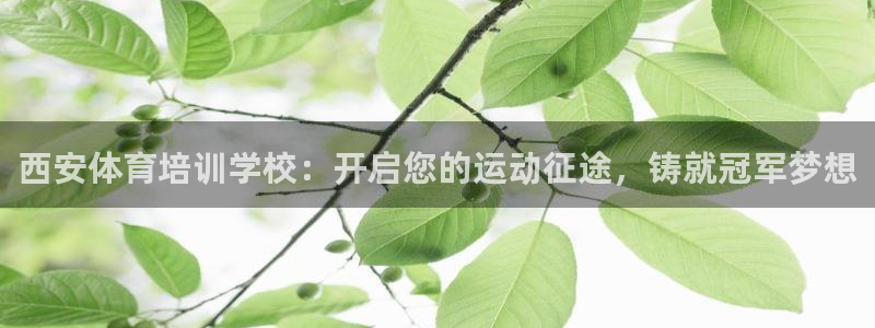 欧陆娱乐游戏特色：西安体育培训学校：开启您的运动征途