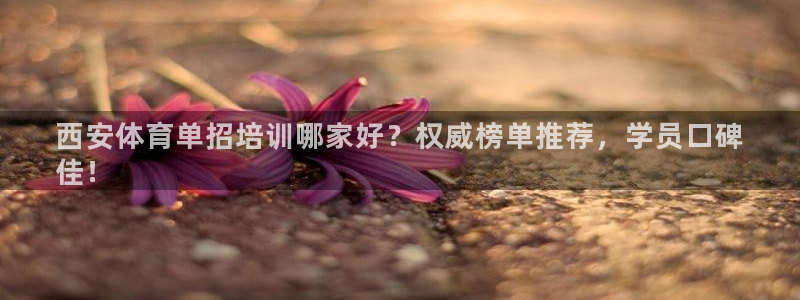 欧陆娱乐突然登录不了了：西安体育单招培训哪家好？权威