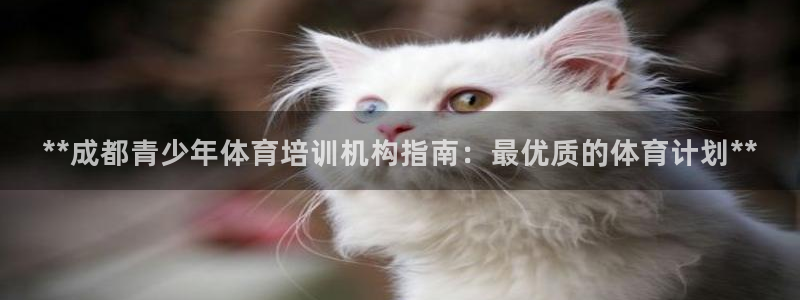 欧陆娱乐登录注册平台
