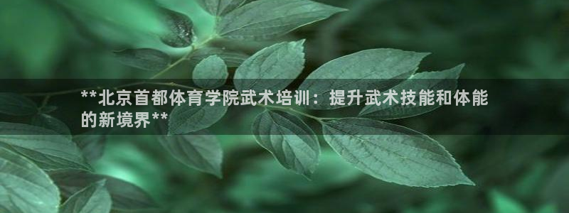 欧陆娱乐计划预测软件哪个好：**北京首都体育学院武术