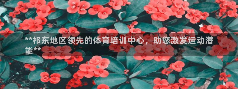 欧陆娱乐平台咋样啊知乎：**祁东地区领先的体育培训中