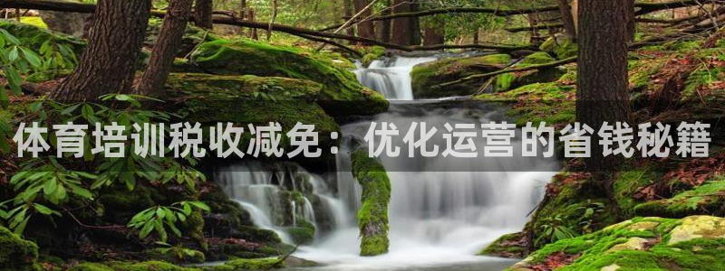 欧陆娱乐官方客服电话：体育培训税收减免：优化运营的省