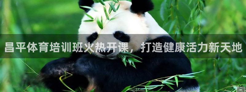 欧陆娱乐怎么注册帐号啊：昌平体育培训班火热开课，打造