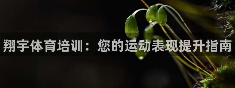 欧陆娱乐登录官网网址：翔宇体育培训：您的运动表现提升