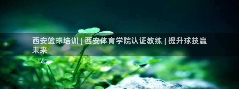 欧陆娱乐官网入口下载：西安篮球培训 | 西安体育学院