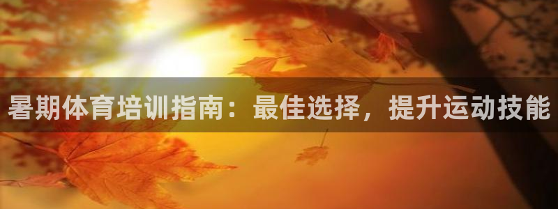 欧陆娱乐访问：暑期体育培训指南：最佳选择，提升运动技