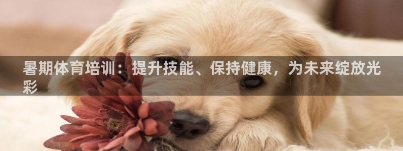 欧陆娱乐出款了吗：暑期体育培训：提升技能、保持健康，