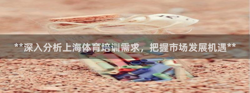 欧陆娱乐总代理：**深入分析上海体育培训需求，把握市场发展机