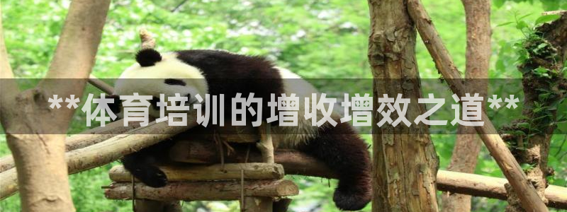 欧陆娱乐登录官网：**体育培训的增收增效之道**