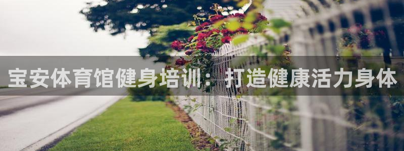 欧陆娱乐公司产品介绍大全：宝安体育馆健身培训：打造健