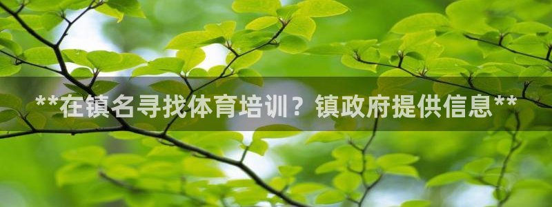 欧陆娱乐登录测速网站：**在镇名寻找体育培训？镇政府