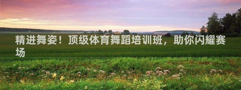 欧陆娱乐官网：精进舞姿！顶级体育舞蹈培训班，助你闪耀