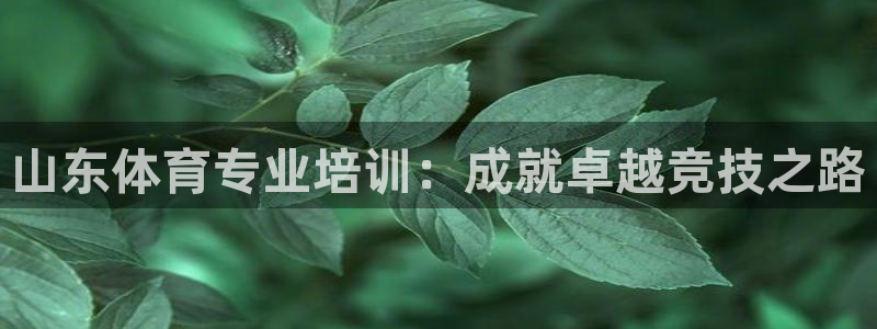 欧陆娱乐试玩官网：山东体育专业培训：成就卓越竞技之路