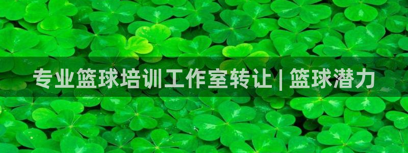 欧陆娱乐平台官网：专业篮球培训工作室转让 | 篮球潜