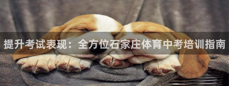 欧陆娱乐共创美好：提升考试表现：全方位石家庄体育中考