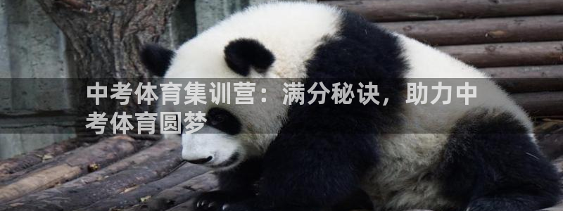 欧陆娱乐平台登录不上怎么办：中考体育集训营：满分秘诀