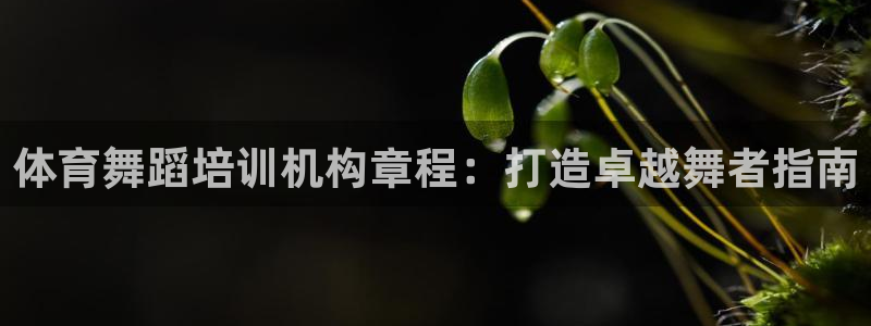 欧陆娱乐测速网站：体育舞蹈培训机构章程：打造卓越舞者指南