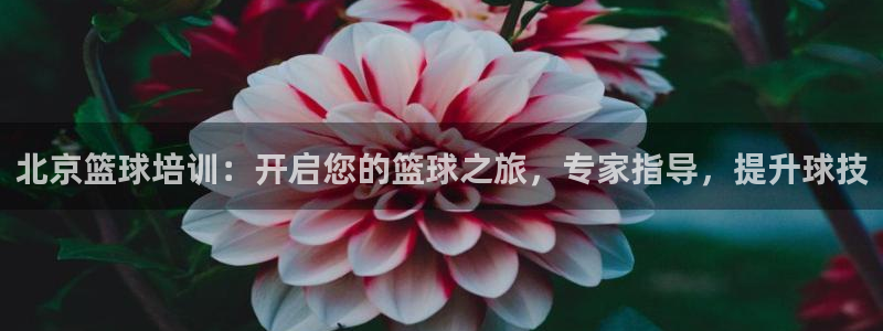 欧陆娱乐客服服务怎么样：北京篮球培训：开启您的篮球之旅，专家