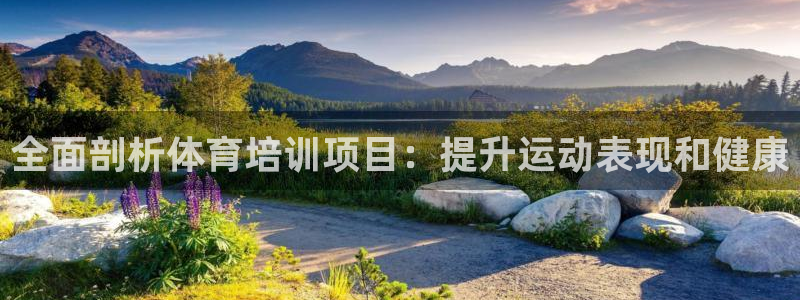 欧陆娱乐登录官网入口：全面剖析体育培训项目：提升运动表现和健