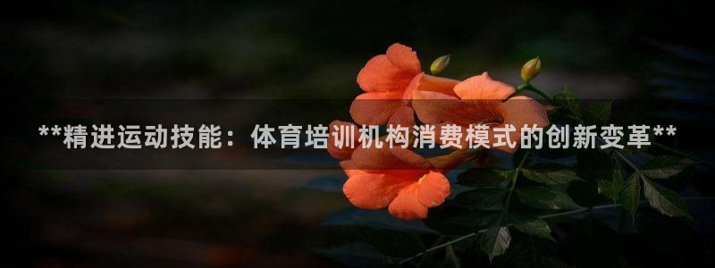 欧陆娱乐注册链接安全吗知乎：**精进运动技能：体育培