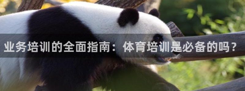 欧陆娱乐安全吗：业务培训的全面指南：体育培训是必备的