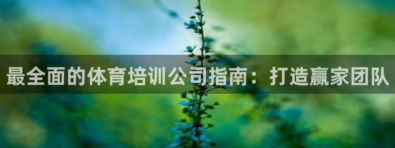 欧陆娱乐太阳