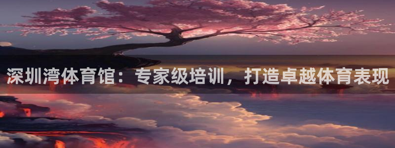 欧陆娱乐代理多少个点位：深圳湾体育馆：专家级培训，打