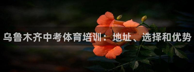 欧陆娱乐是正规吗?：乌鲁木齐中考体育培训：地址、选择