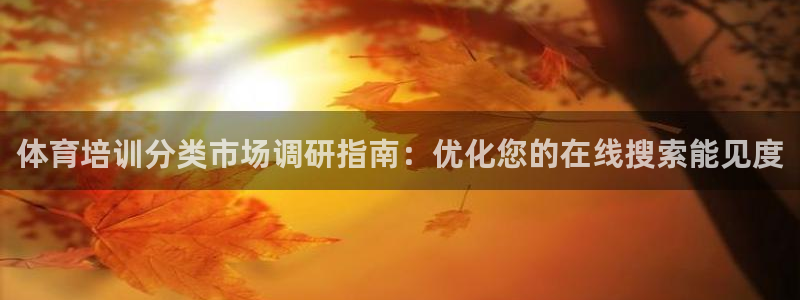 欧陆娱乐能提现嘛安全吗：体育培训分类市场调研指南：优