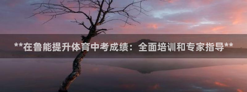 欧陆娱乐客服：**在鲁能提升体育中考成绩：全面培训和