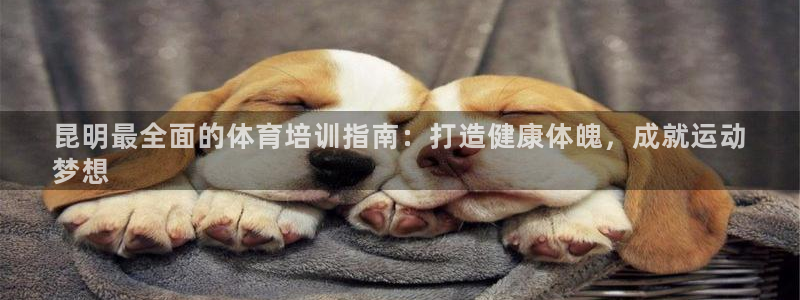 欧陆娱乐平台咋样赚钱：昆明最全面的体育培训指南：打造