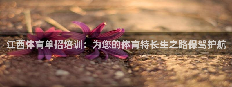 欧陆娱乐注册代理多少钱一年：江西体育单招培训：为您的