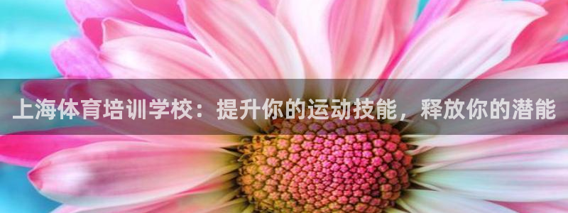欧陆娱乐是什么：上海体育培训学校：提升你的运动技能，