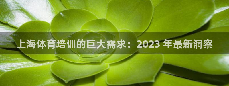 欧陆娱乐客服人工电话：上海体育培训的巨大需求：202