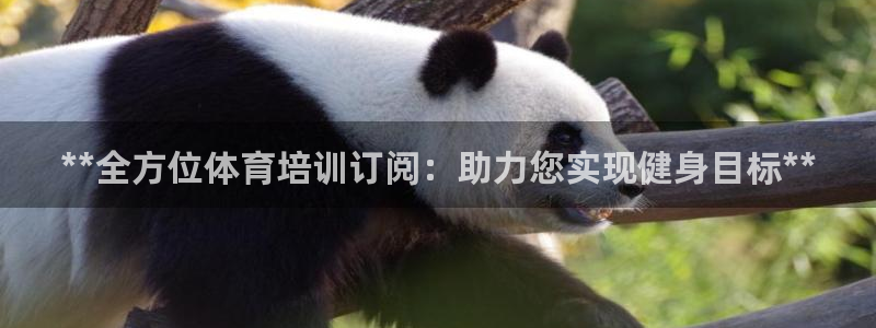 欧陆娱乐有风险吗：**全方位体育培训订阅：助力您实现健身目标
