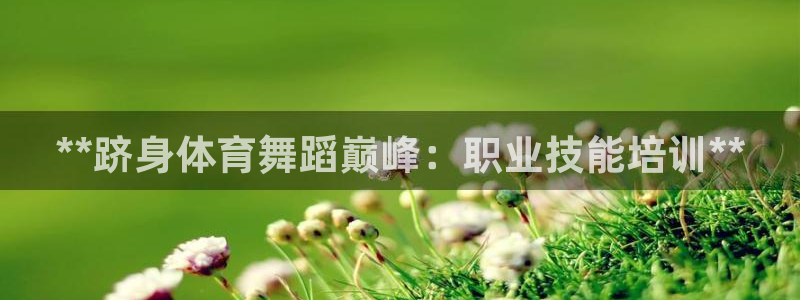 欧陆娱乐测速软件下载：**跻身体育舞蹈巅峰：职业技能