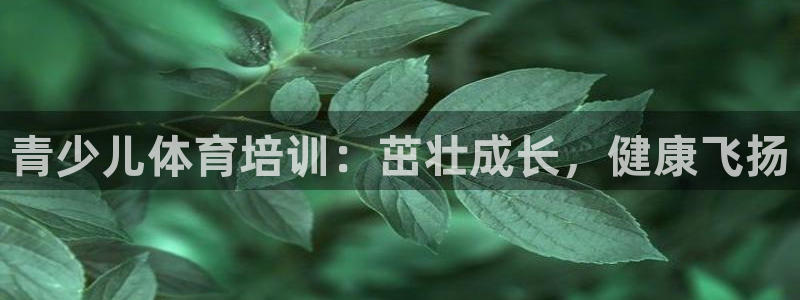欧陆娱乐测试官网：青少儿体育培训：茁壮成长，健康飞扬
