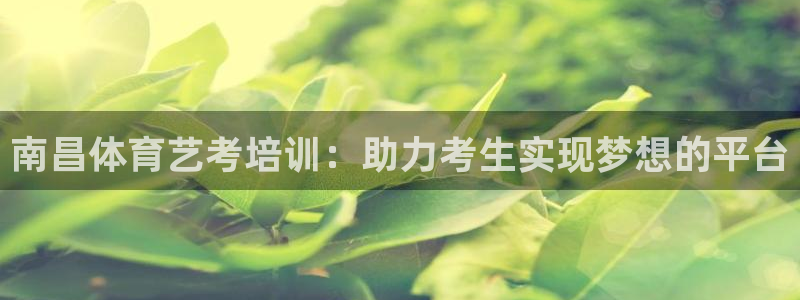 欧陆娱乐app攻略下载：南昌体育艺考培训：助力考生实