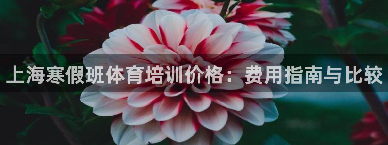 欧陆娱乐登陆官网：上海寒假班体育培训价格：费用指南与