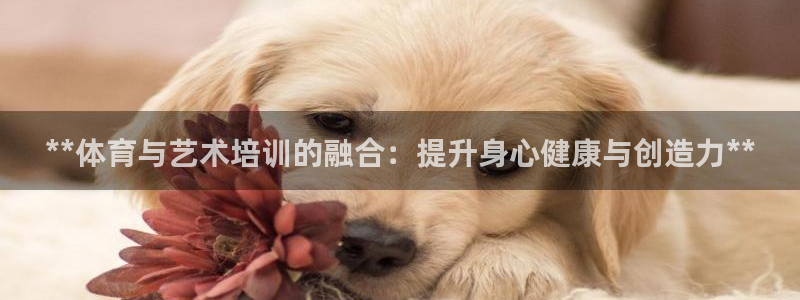 欧陆娱乐官网首页网址：**体育与艺术培训的融合：提升