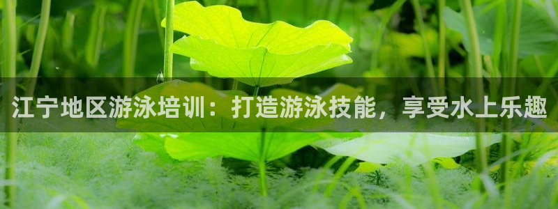 欧陆娱乐合法吗：江宁地区游泳培训：打造游泳技能，享受